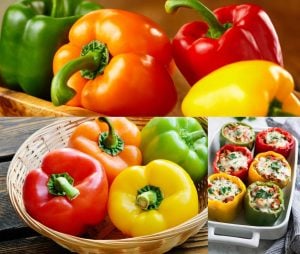 Kaliforniya çan biber tohumu çok renkli dolmalık biberler