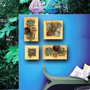 Ahşap çerçeveli duvar saksı sukulent için yaşayan tablo saksı Büyük Kare