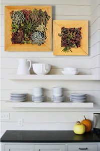 Ahşap çerçeveli duvar saksı sukulent için yaşayan tablo saksı Büyük Kare