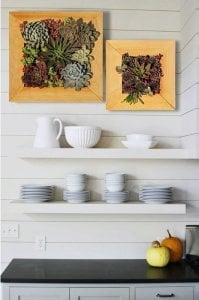 Ahşap çerçeveli duvar saksı sukulent için yaşayan tablo saksı Dikdörtgen