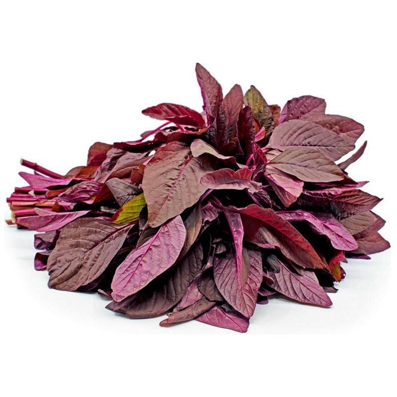 Kırmızı amaranth tohumu geleneksel şifalı amaranthus red garnet