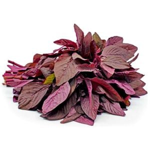 Kırmızı amaranth tohumu geleneksel şifalı amaranthus red garnet