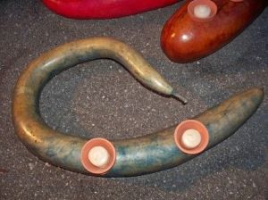 Yılan sukabağı tohumu snake gourd