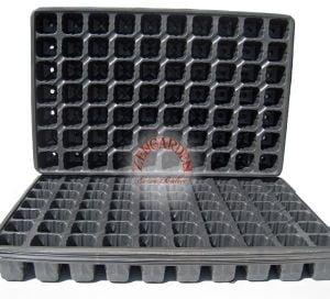 70 gözlü kare viyol çimlendirme fideleme kare üretim viyolü 5 adet