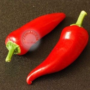 Fresno orta acı biber tohumu capsicum annuum
