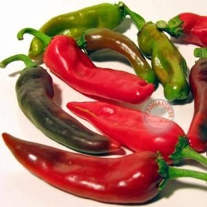 Anaheim chili biber tohumu orta acı gurme aromatik geleneksel