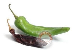 Anaheim chili biber tohumu orta acı gurme aromatik geleneksel