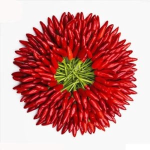 Mini kırmızı acı biber tohumu mini red hot chili pepper seeds