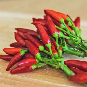 Mini kırmızı acı biber tohumu mini red hot chili pepper seeds