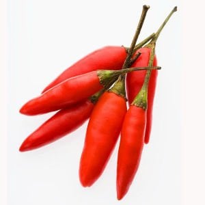 Mini kırmızı acı biber tohumu mini red hot chili pepper seeds