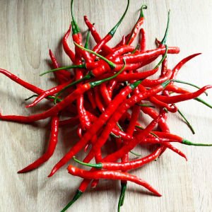 Cayenne kırmızı kıl biber tohumu chili pepper çok acı