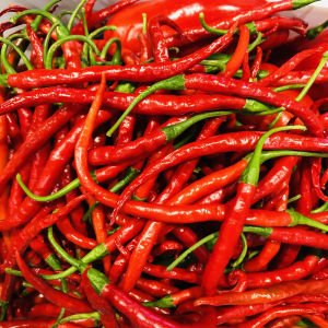 Cayenne kırmızı kıl biber tohumu chili pepper çok acı