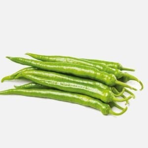 Tatlı sivri biber tohumu capsicum annuum