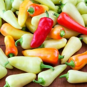 Santa fe grande chili biber tohumu acı çok bereketli