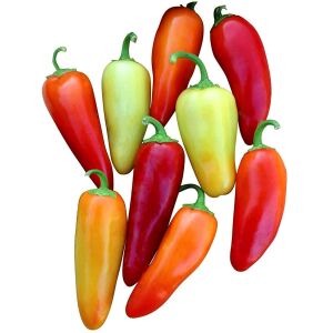 Santa fe grande chili biber tohumu acı çok bereketli