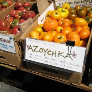 Turuncu azoychka domates tohumu geleneksel tohum