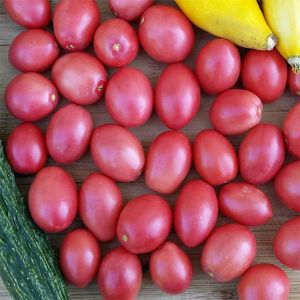 Pembe yumurta domates tohumu thai pink egg geleneksel tohum
