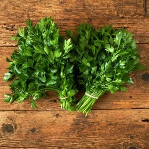 Geniş yapraklı italyan maydanoz tohumu atalık italian giant parsley