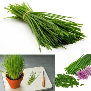 Frenk soğanı tohumu soğan otu onion chives