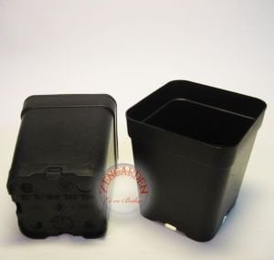 7 cm kare üretim saksısı 25 adet