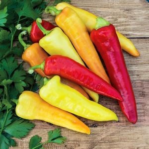 Sweet banana muz biber tohumu capsicum annuum