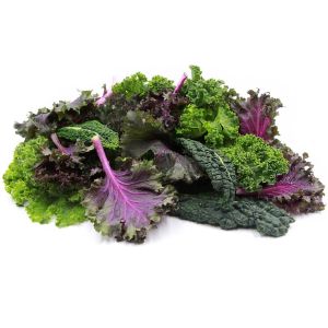 Gökkuşağı Kale Lahana tohumu karışımı Kale Kaleidoscope seeds