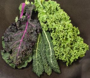 Gökkuşağı Kale Lahana tohumu karışımı Kale Kaleidoscope seeds