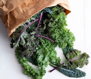 Gökkuşağı Kale Lahana tohumu karışımı Kale Kaleidoscope seeds