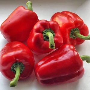 Kırmızı dolmalık biber tohumu big red sweet pepper