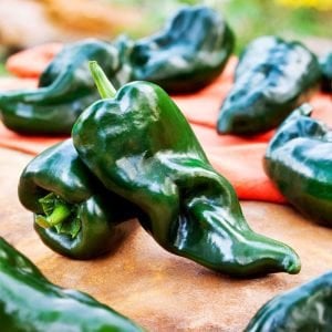 Ancho grande poblano acı biber tohumu hot ancho grande