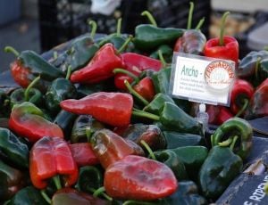 Ancho grande poblano acı biber tohumu hot ancho grande