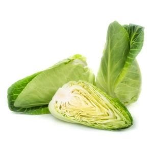 Jersey lahanası tohumu erkenci atalık