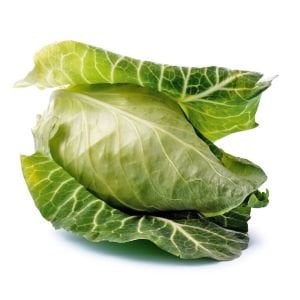 Jersey lahanası tohumu erkenci atalık