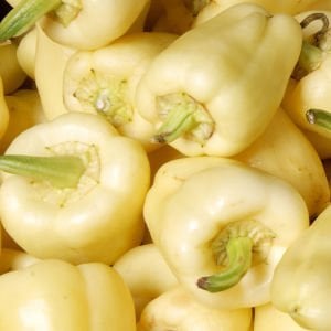 Diamond dolmalık biber tohumu diamond bell pepper