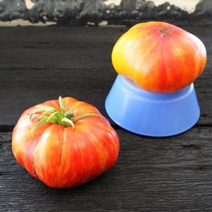 Mr. stripey bostan domates tohumu heirloom tomato