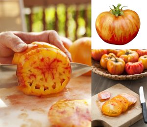 Mr. stripey bostan domates tohumu heirloom tomato