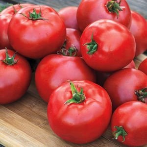 Selanik domatesi tohumu doğal thessaloniki tomato