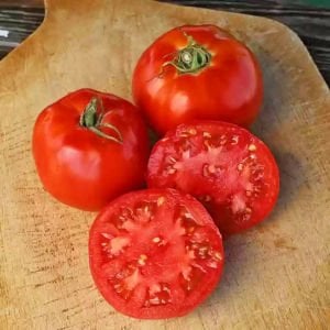 Selanik domatesi tohumu doğal thessaloniki tomato
