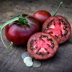 Tula domates tohumu dünyanın en lezzetli siyah domatesi geleneksel black from tula heirloom