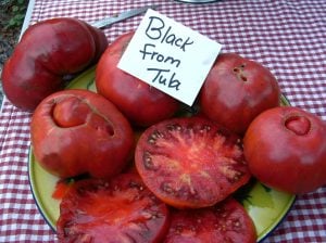 Tula domates tohumu dünyanın en lezzetli siyah domatesi geleneksel black from tula heirloom