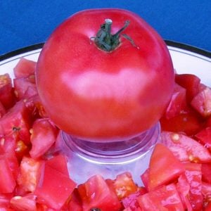 Karaorman domates tohumu geleneksel eva purple ball tomato