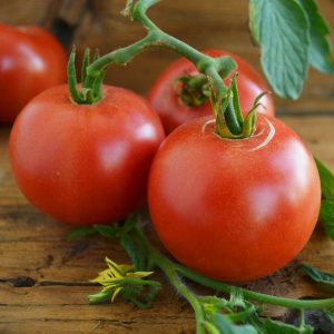 Karaorman domates tohumu geleneksel eva purple ball tomato