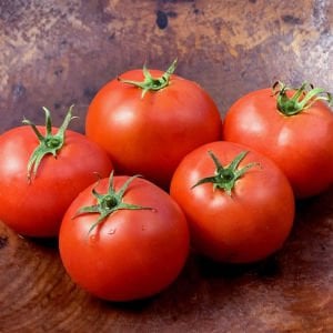Dev domates tohumu geleneksel abe lincoln tomato