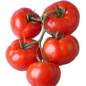 Dev domates tohumu geleneksel abe lincoln tomato