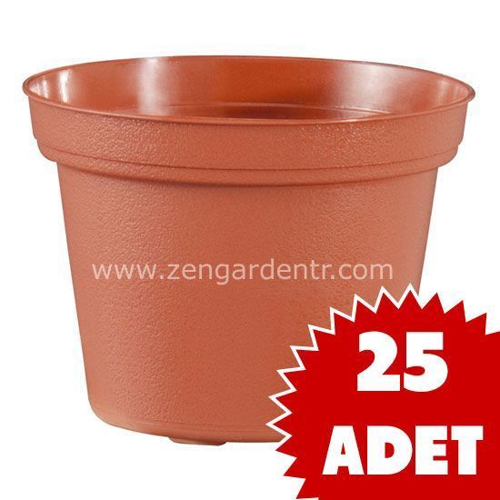 Teku kaktüs sukulent saksısı 5,5 cm 25 adet