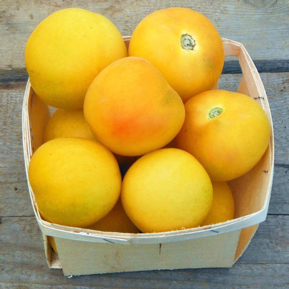 Kokulu şeftali domates tohumu geleneksel garden peach tomato