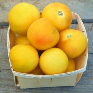 Kokulu şeftali domates tohumu geleneksel garden peach tomato