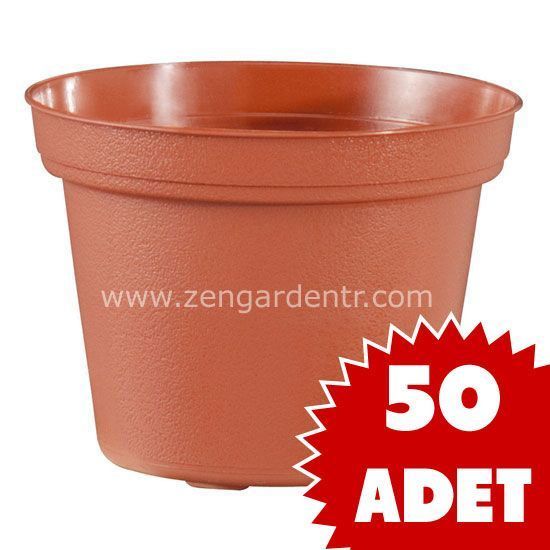 Teku kaktüs sukulent saksısı 5,5 cm 50 adet