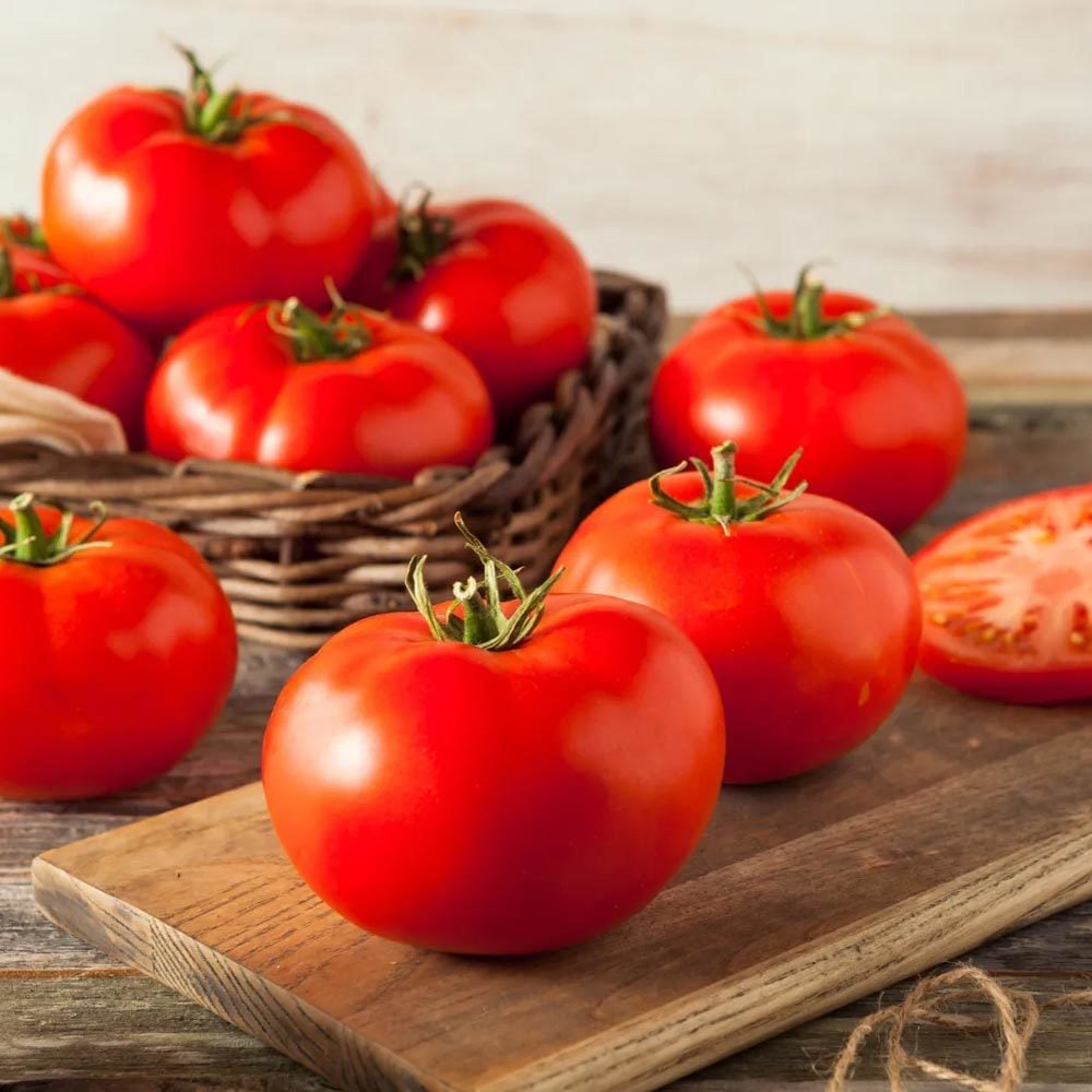Manitoba domates tohumu saksılık iri boy geleneksel manitoba tomato