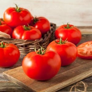 Manitoba domates tohumu saksılık iri boy geleneksel manitoba tomato